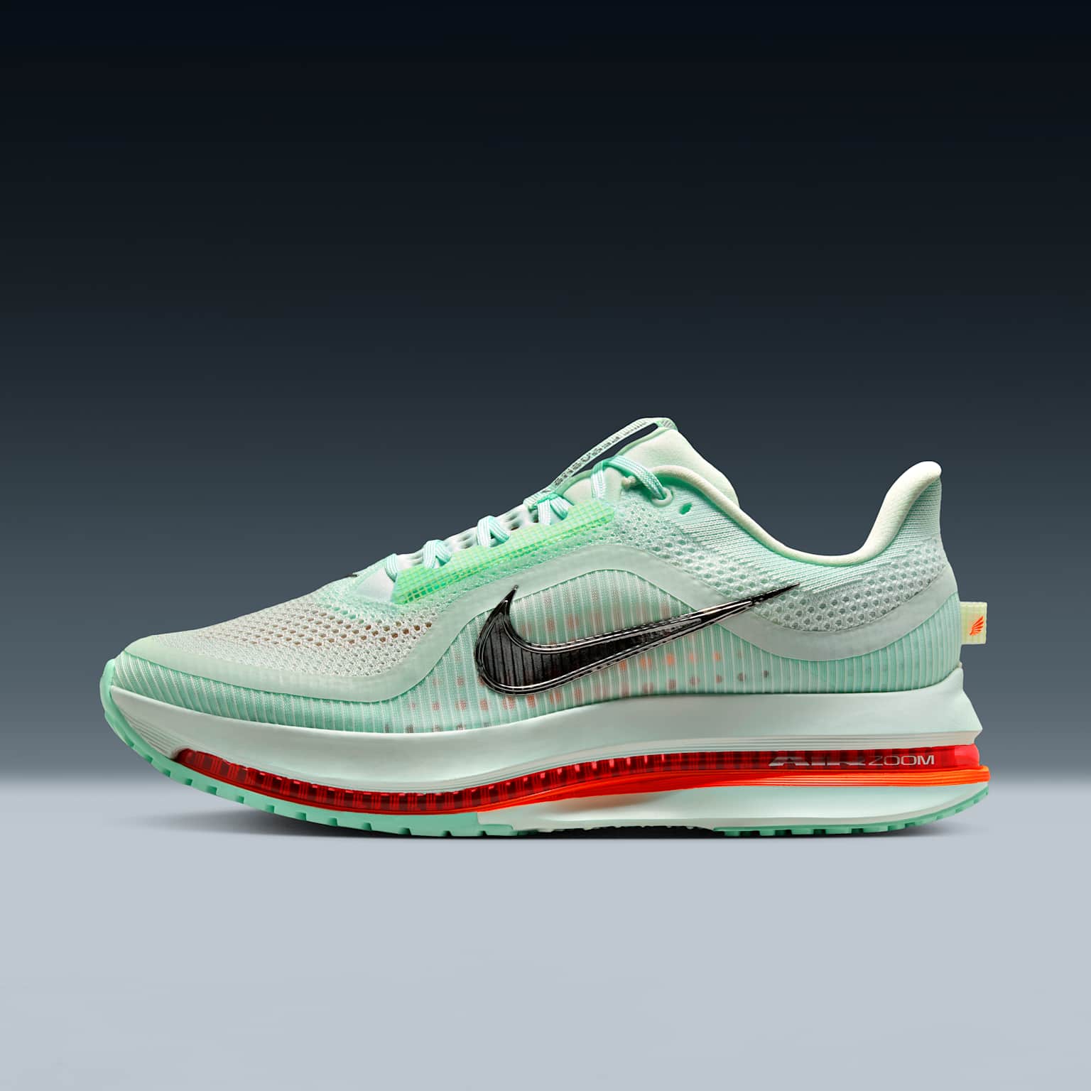 (image for) Nike Pegasus Premium