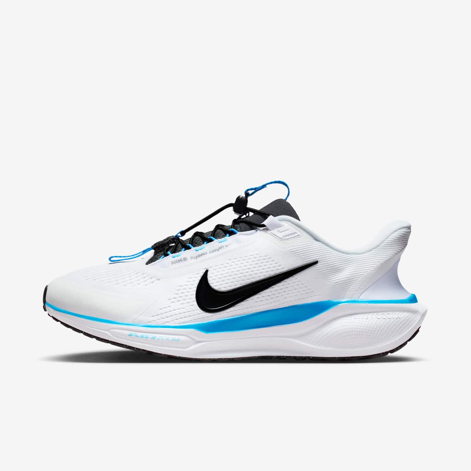 (image for) Nike Pegasus EasyOn
