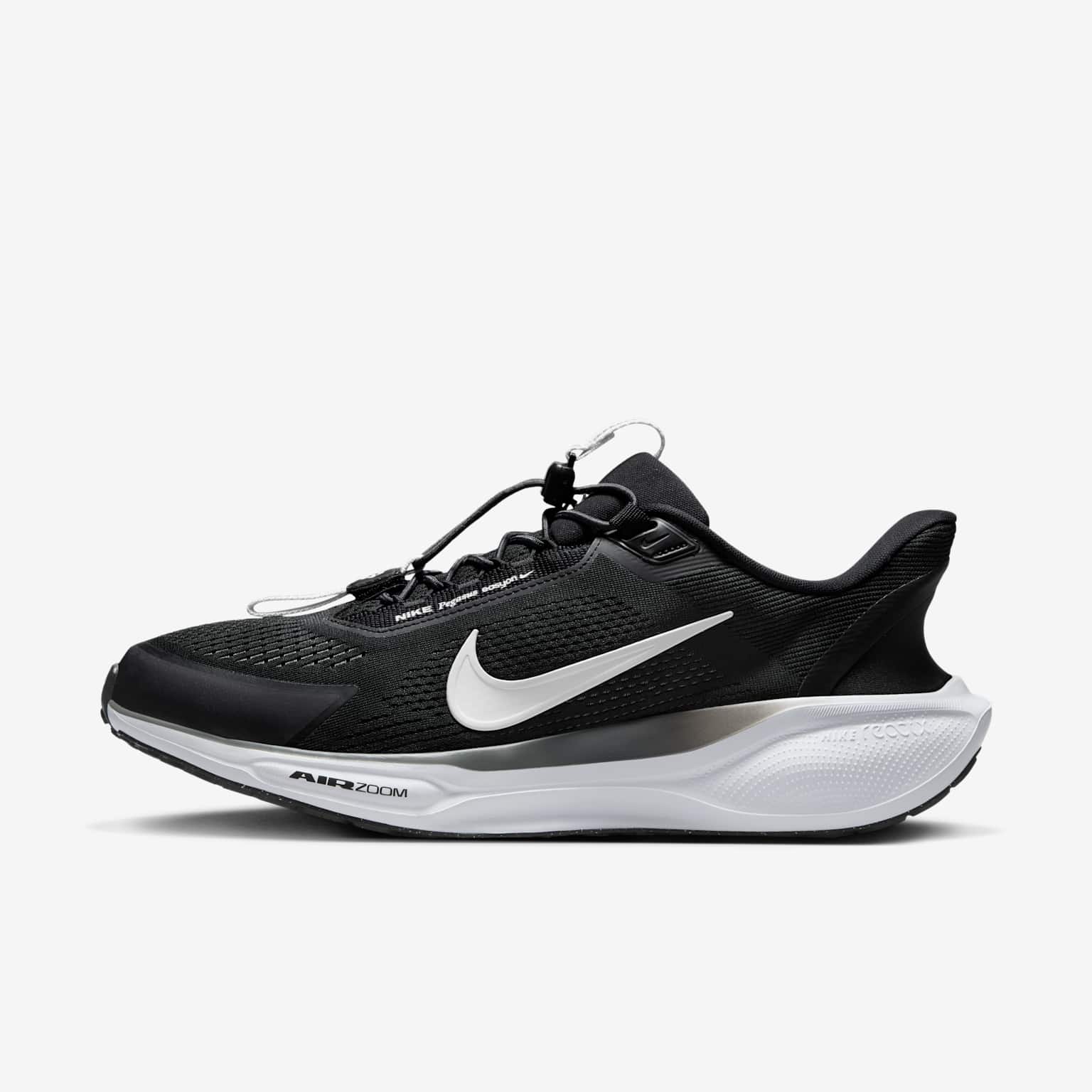 (image for) Nike Pegasus EasyOn