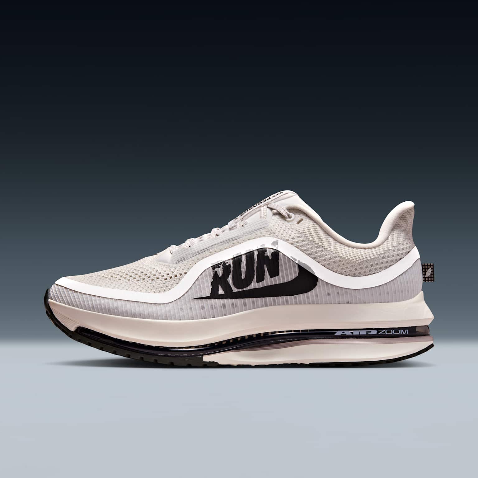 (image for) Nike Pegasus Premium