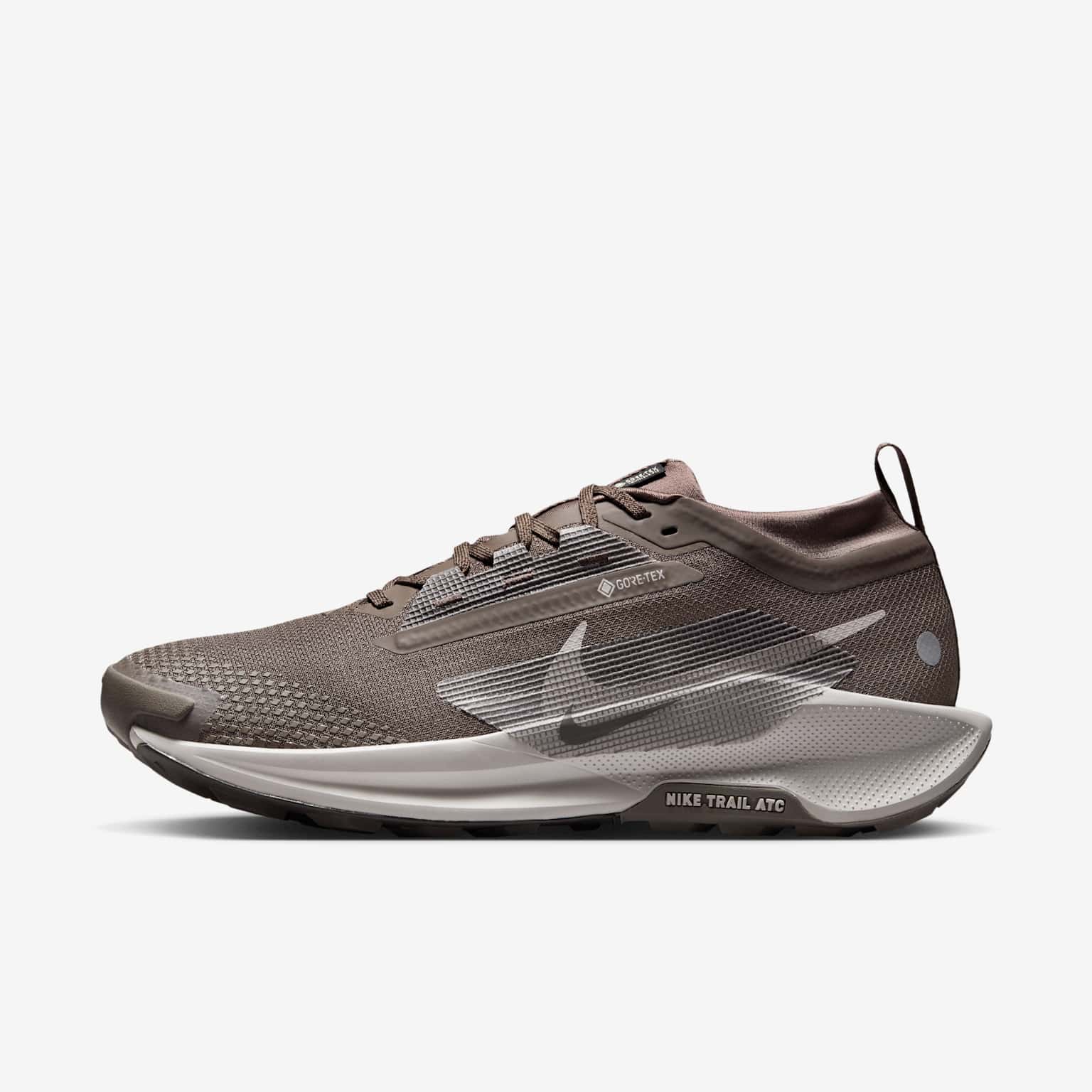 (image for) Nike Pegasus Trail 5 GORE-TEX
