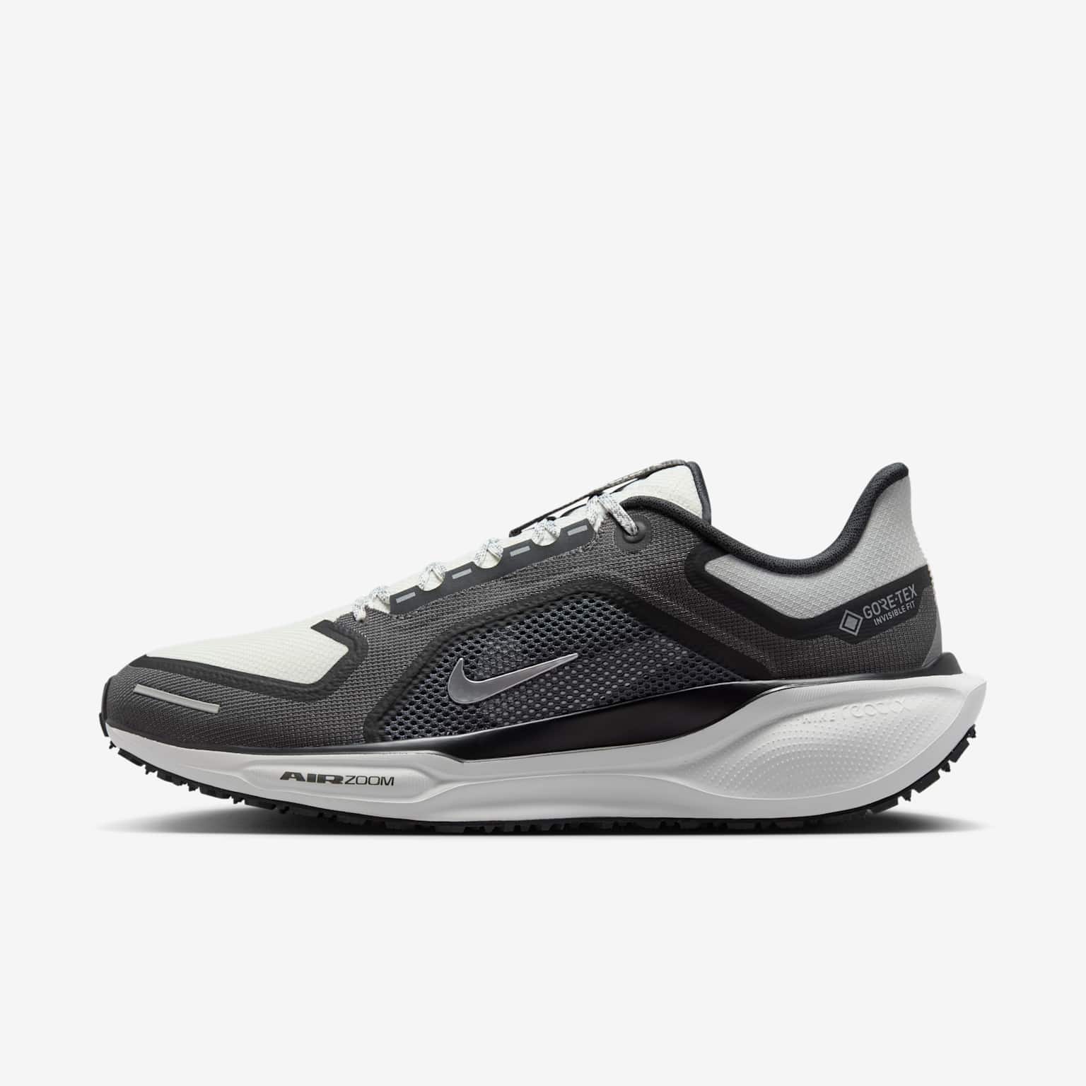 (image for) Nike Pegasus 41 GORE-TEX