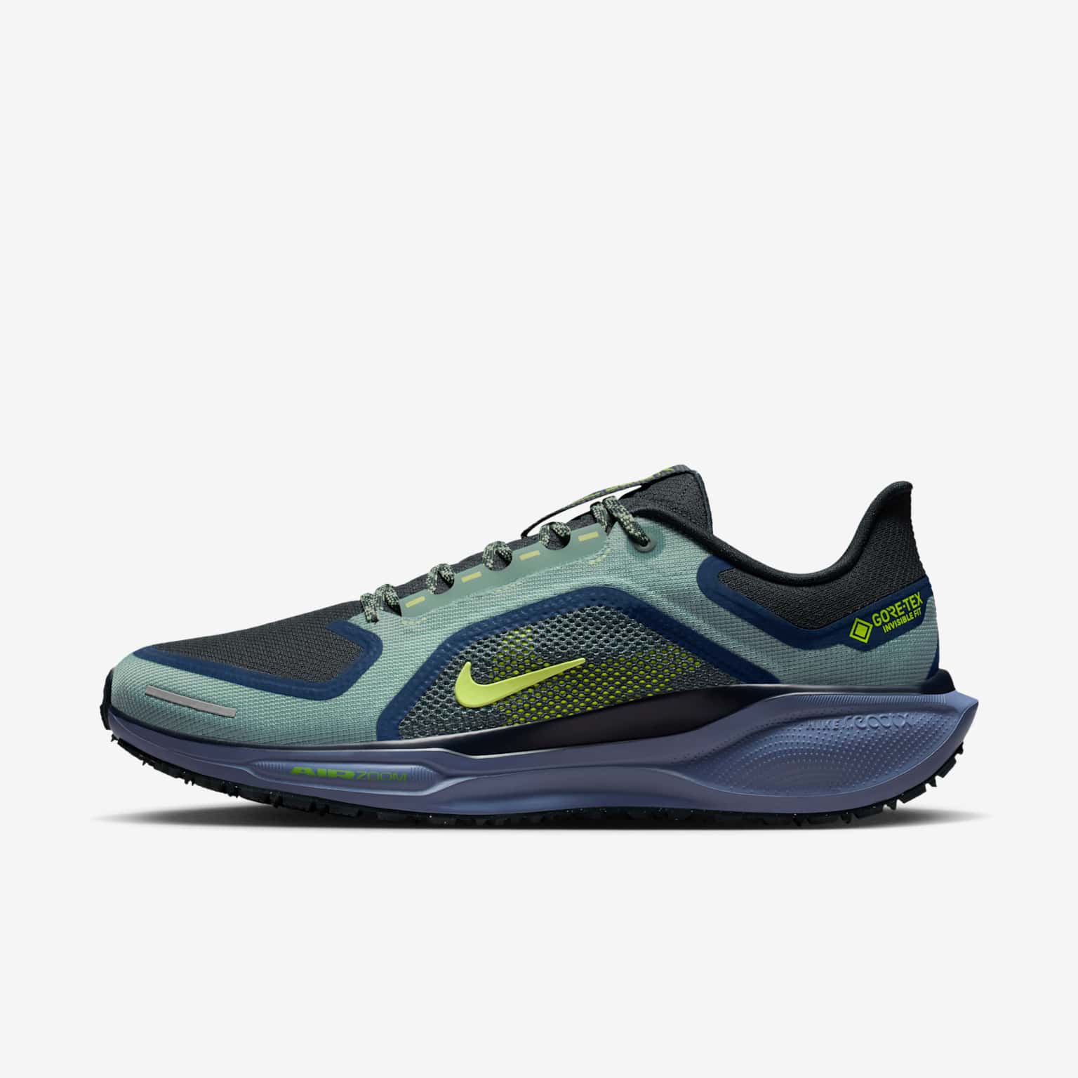 (image for) Nike Pegasus 41 GORE-TEX