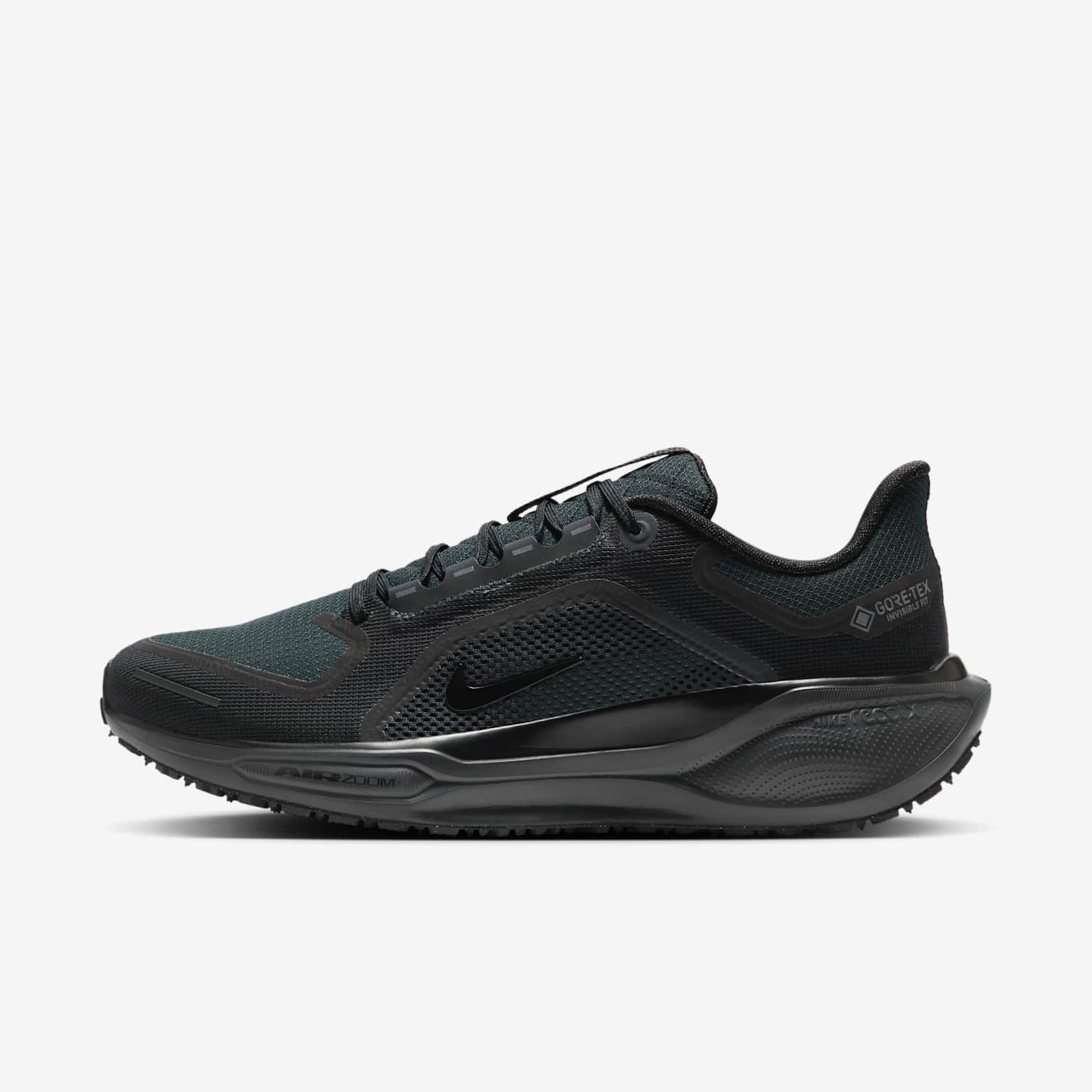 (image for) Nike Pegasus 41 GORE-TEX
