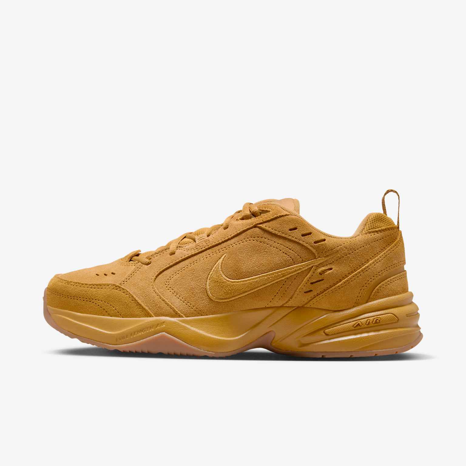 (image for) Nike Air Monarch SE