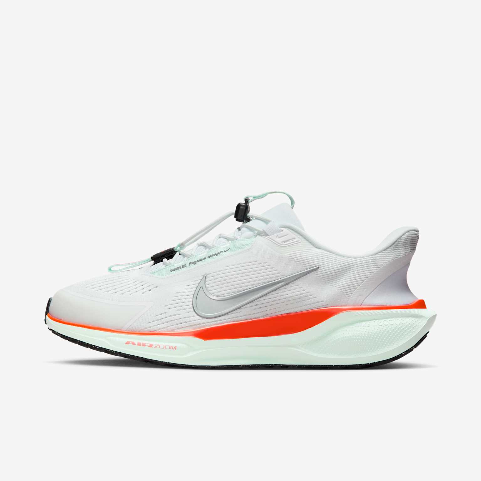 (image for) Nike Pegasus EasyOn