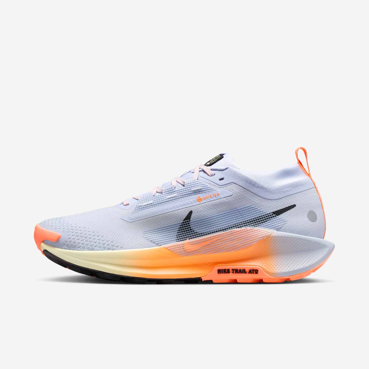 (image for) Nike Pegasus Trail 5 GORE-TEX