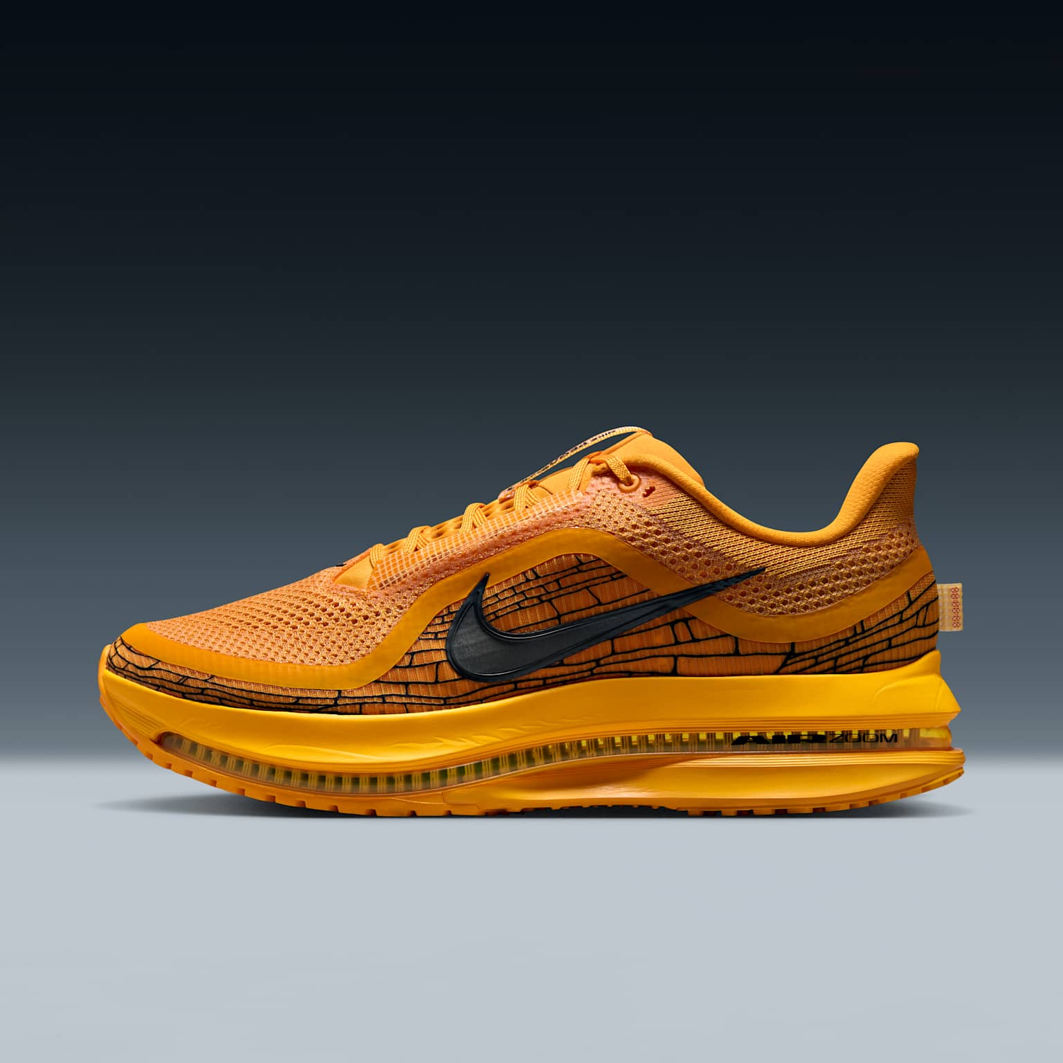 (image for) Nike Pegasus Premium LV8