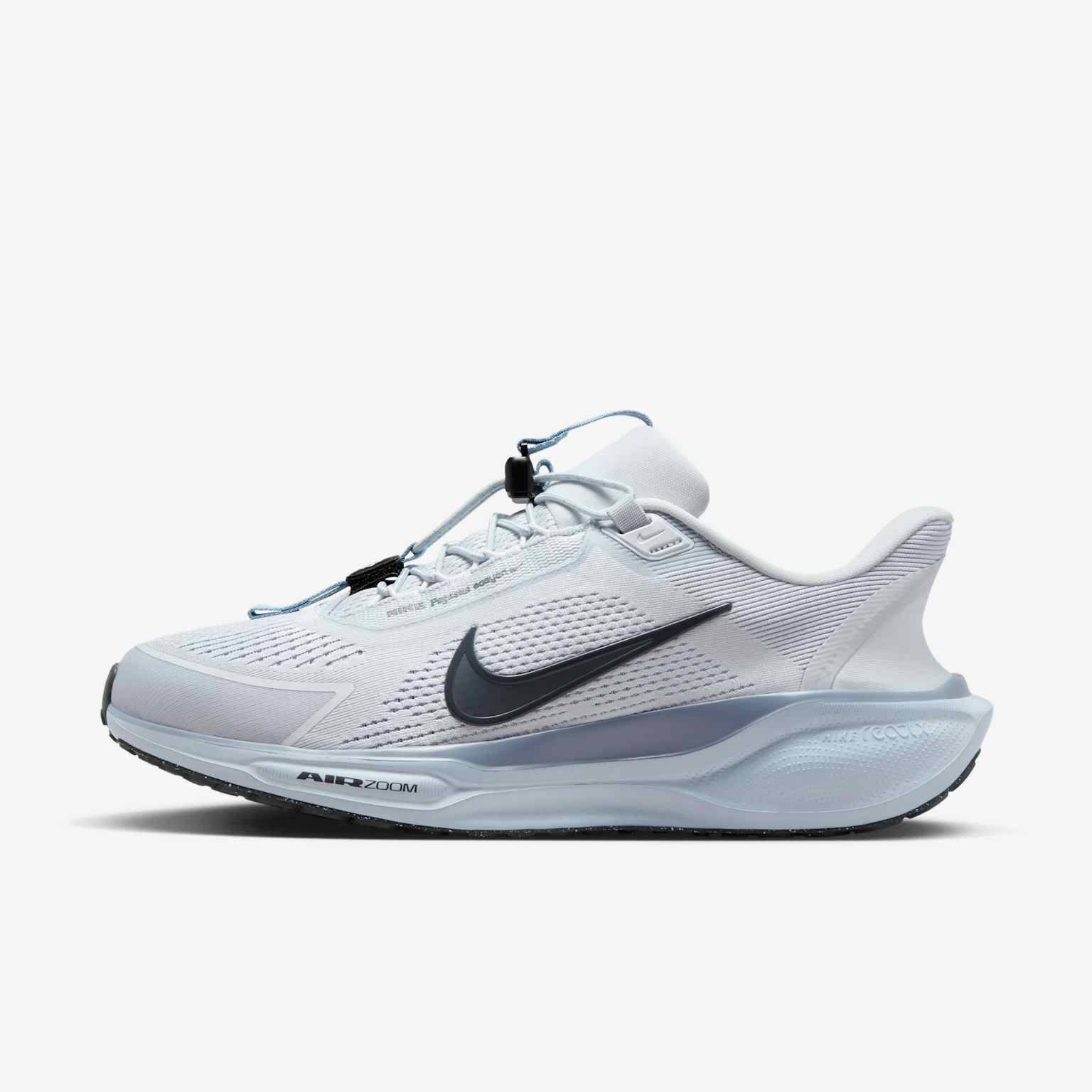 (image for) Nike Pegasus EasyOn