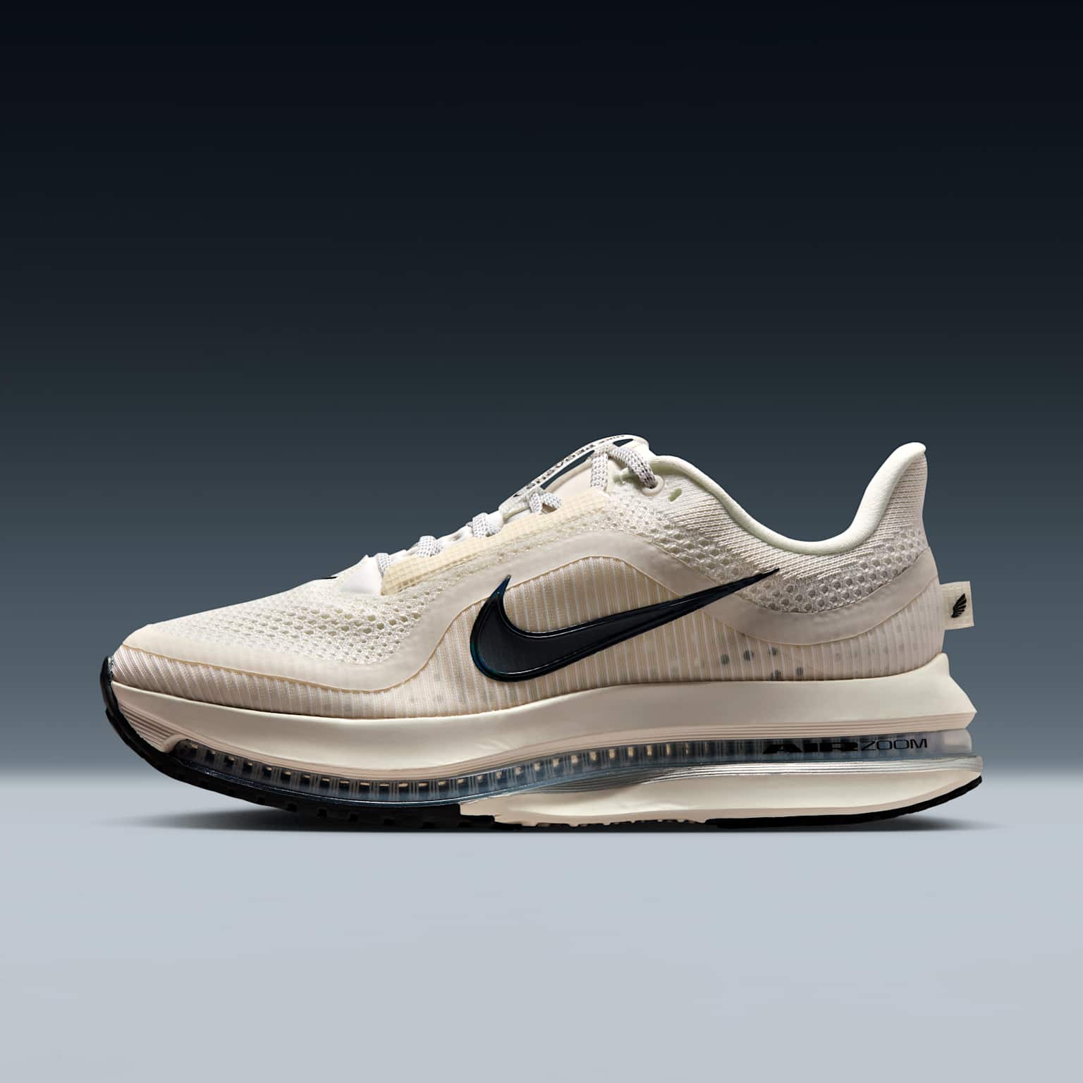 (image for) Nike Pegasus Premium