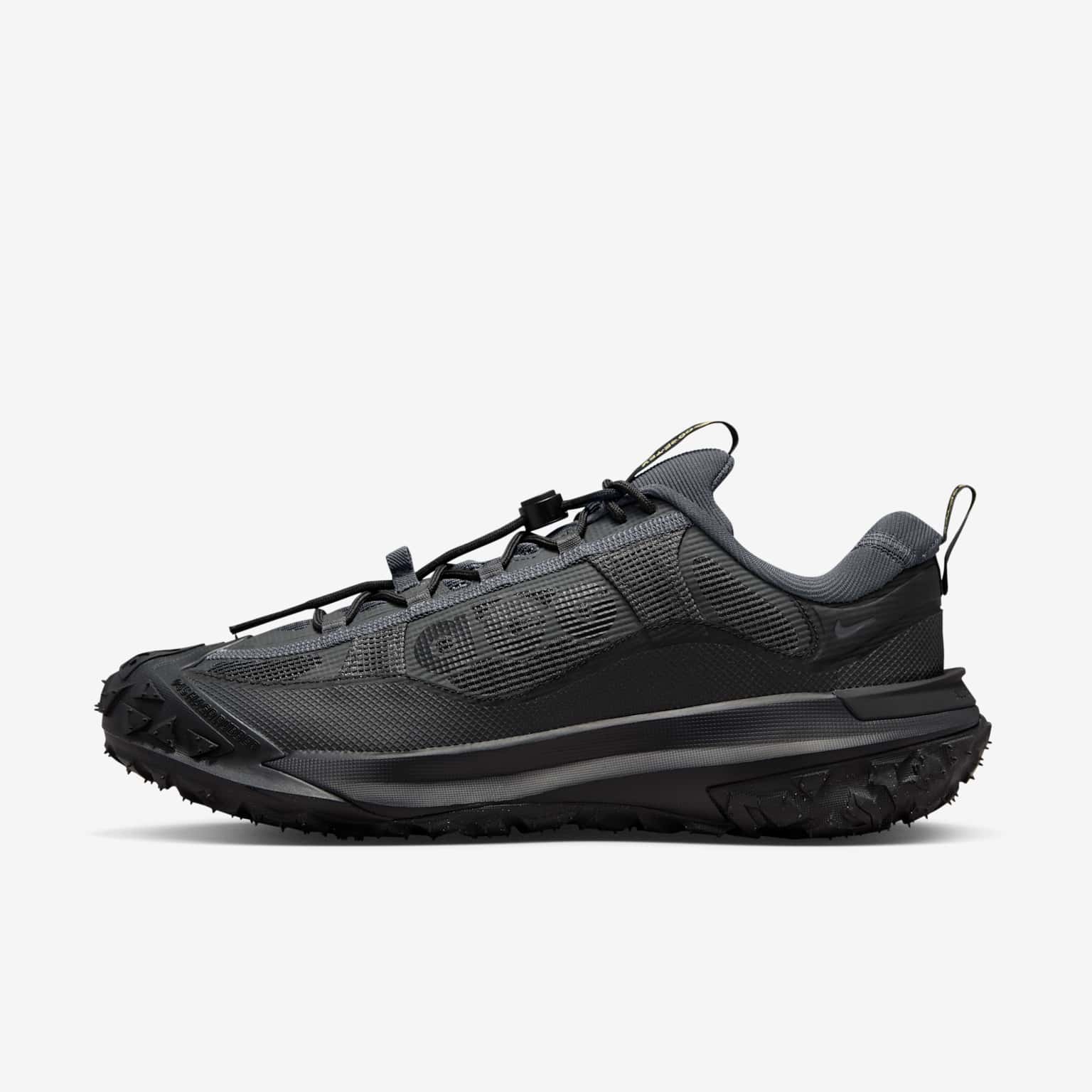 (image for) Nike ACG Mountain Fly 2 Low GORE-TEX