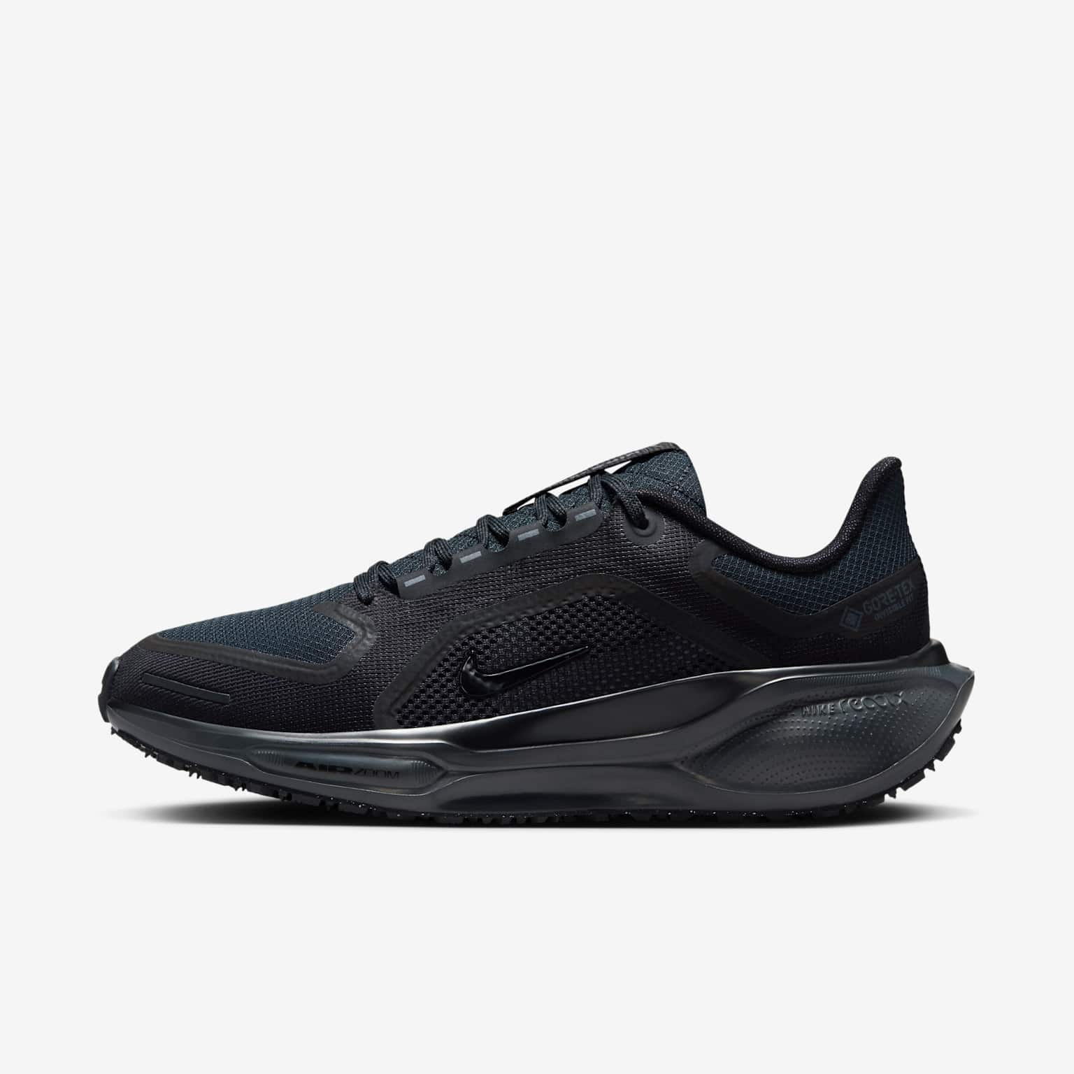 (image for) Nike Pegasus 41 GORE-TEX