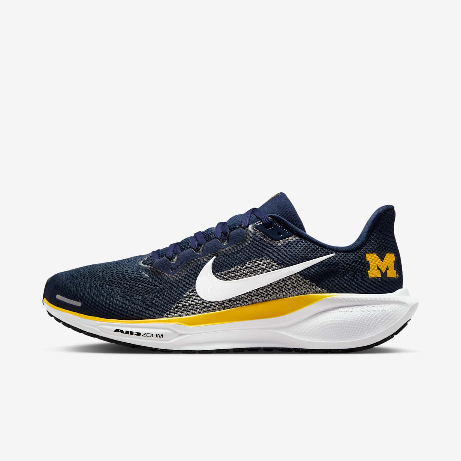 (image for) Michigan Pegasus 41