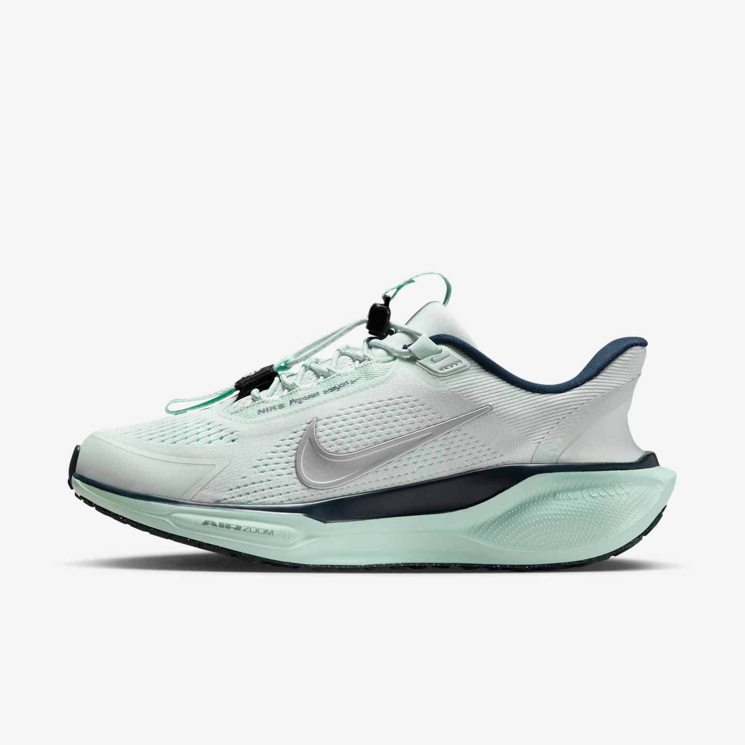 (image for) Nike Pegasus EasyOn