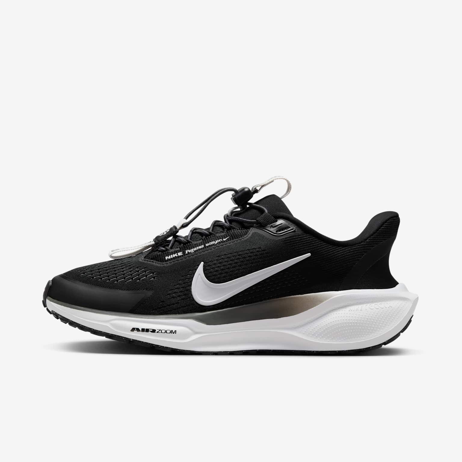 (image for) Nike Pegasus EasyOn